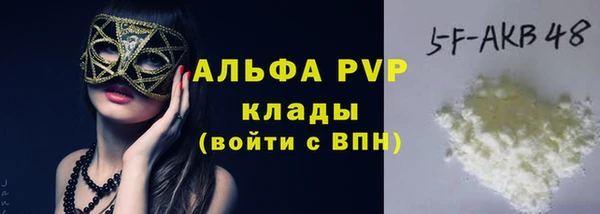 СК Аркадак