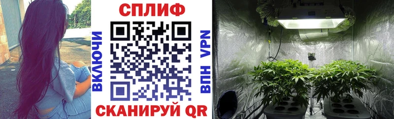 Каннабис SATIVA & INDICA Микунь